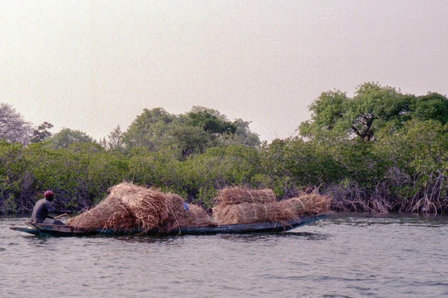eCovers