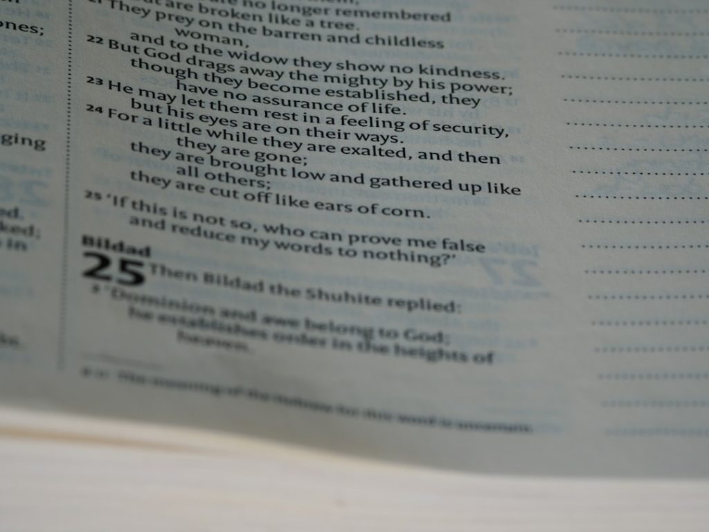 Photo Checkout Pages