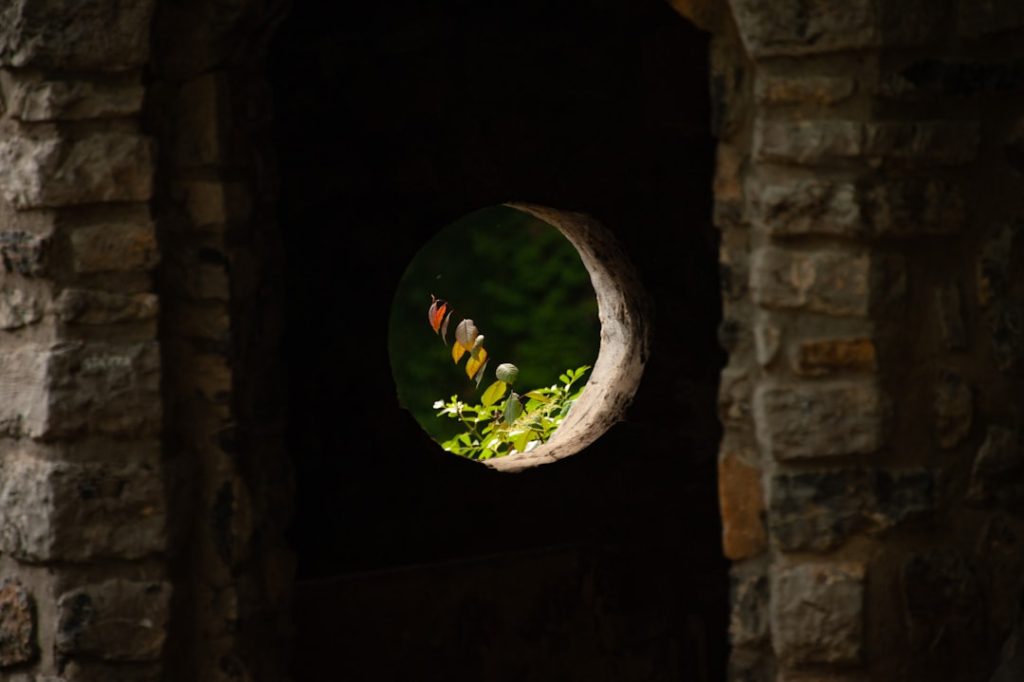 Photo AI Finds Hidden Niches