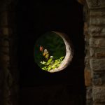 Photo AI Finds Hidden Niches