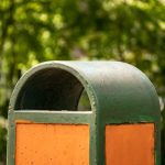 Photo Email Subscribers