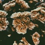 Photo Instagram Reels