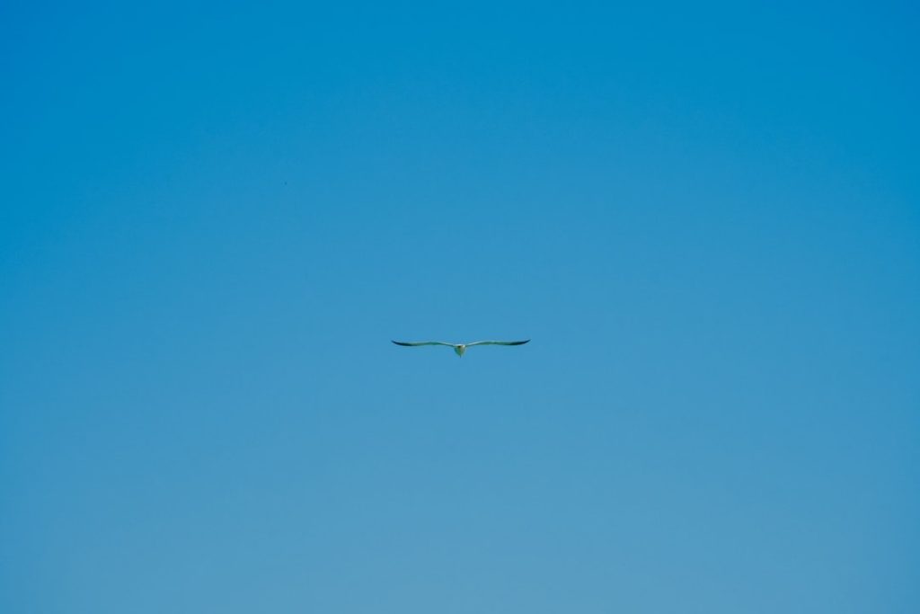 Photo Landing Page Conversion