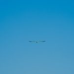 Photo Landing Page Conversion