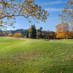 Photo Online Coaching Program