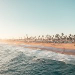 Photo Recover from Google Algorithm Updates
