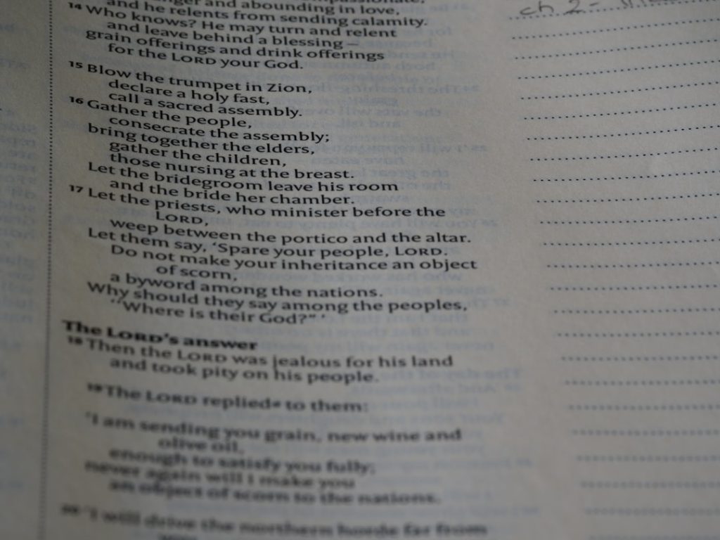 Photo Quizzes and Surveys